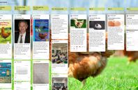 Fächerübergreifender Unterricht: D–Bio–Digi