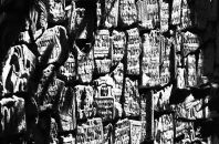 Reise der 8. Klassen nach Krakau und Auschwitz